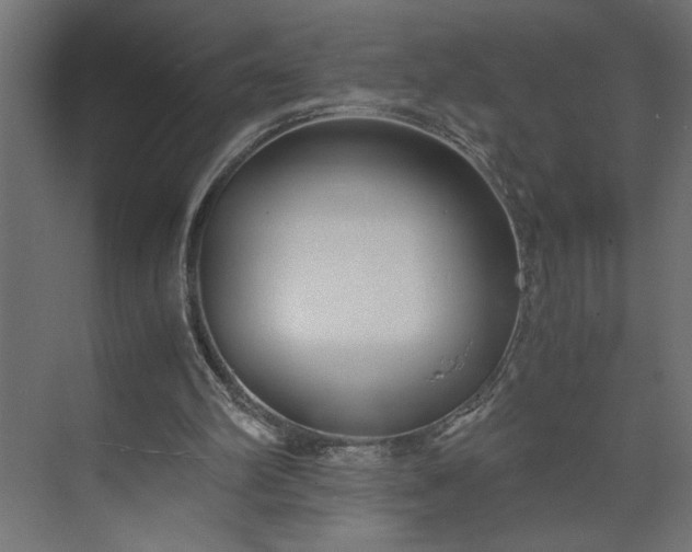 X0000073920102200608251600