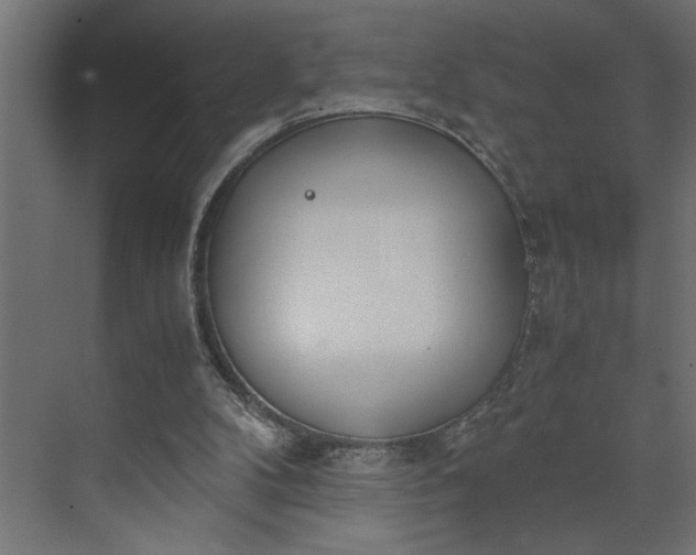 X0000073920104200608251600