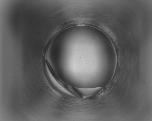 X0000073920105200608251559