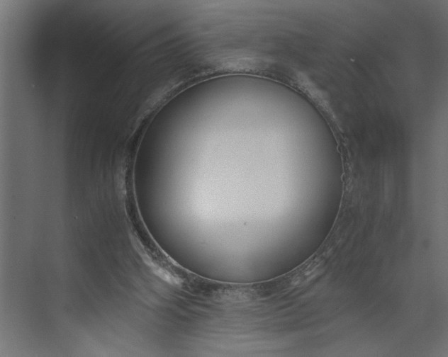 X0000073920106200608251559