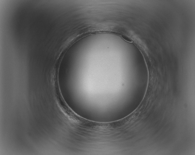 X0000073920107200608251559