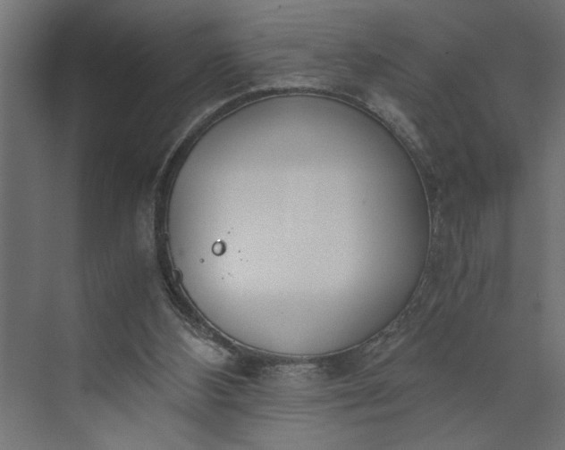 X0000073920108200608251559