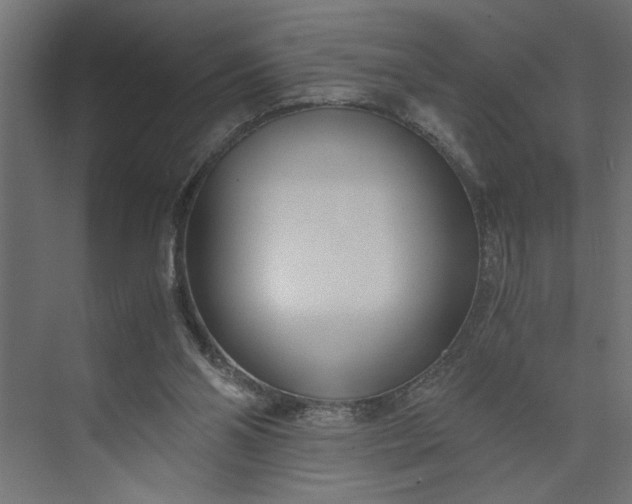 X0000073920110200608251559