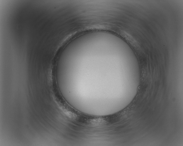 X0000073920112200608251559