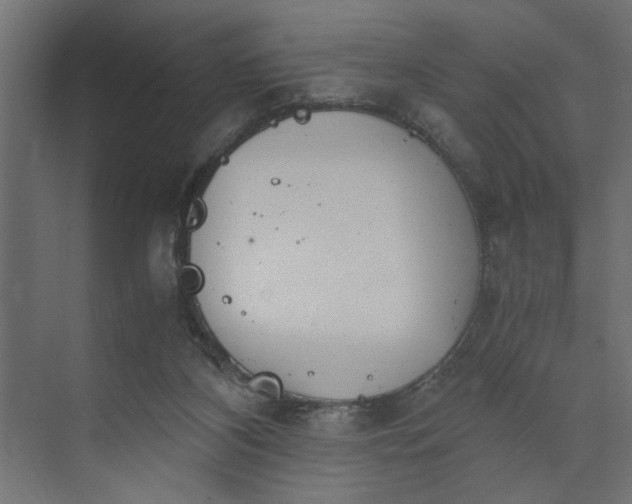 X0000073920116200608251559