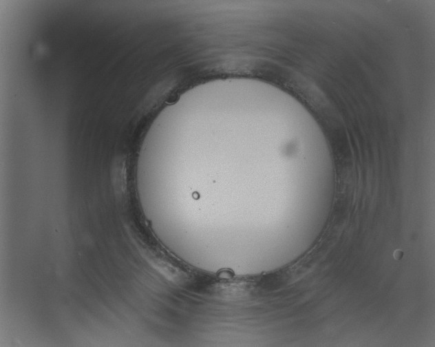 X0000073920120200608251559