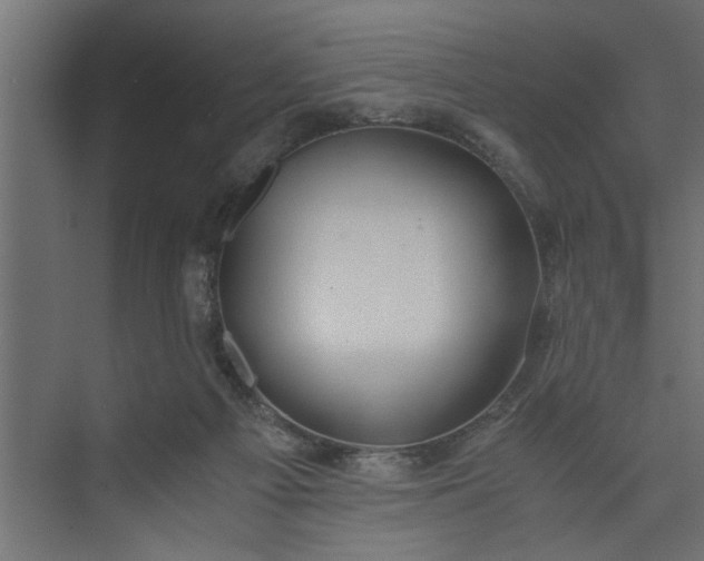 X0000073920121200608251559