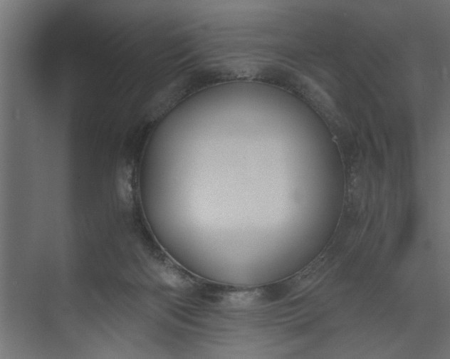 X0000073920122200608251559