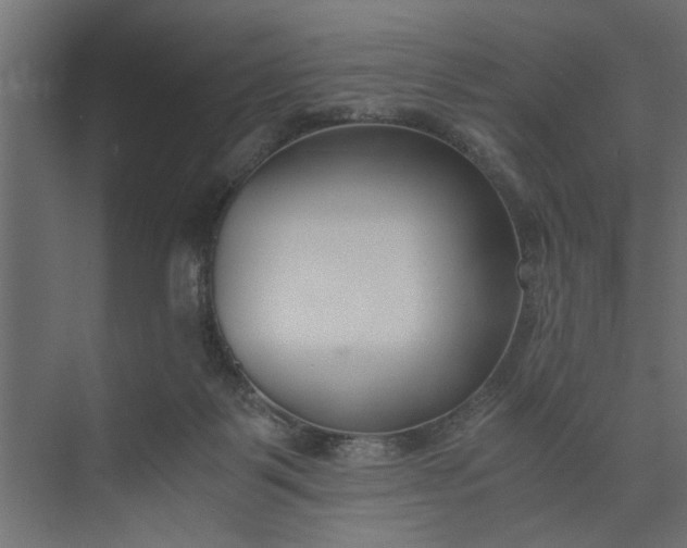 X0000073920123200608251559