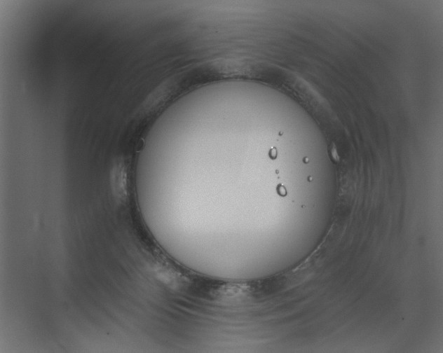 X0000073920124200608251559