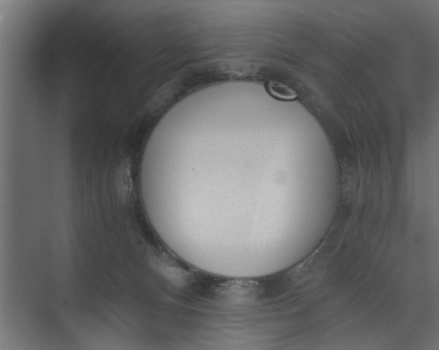 X0000073920128200608251559