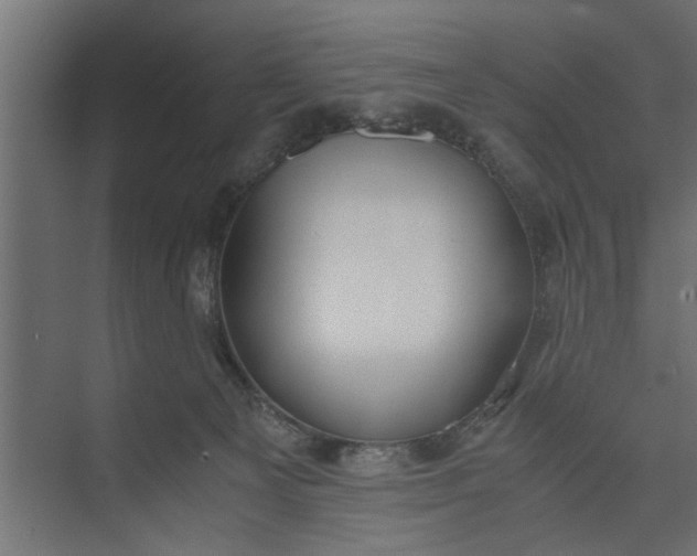 X0000073920129200608251559