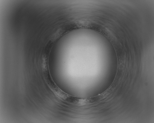 X0000073920130200608251559