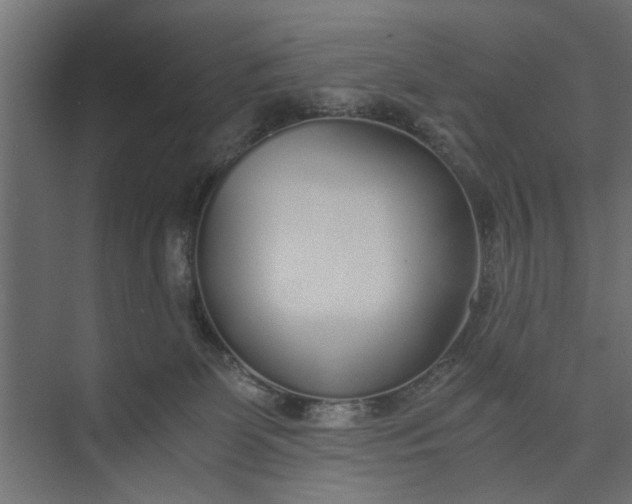 X0000073920131200608251559