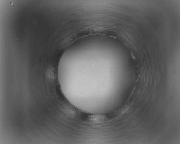 X0000073920135200608251559