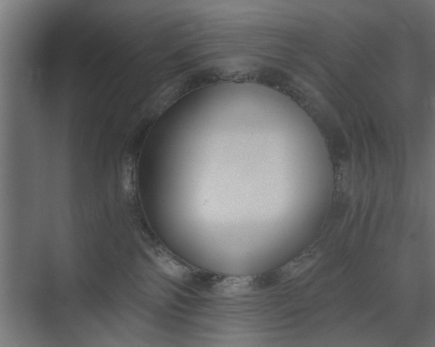 X0000073920138200608251559