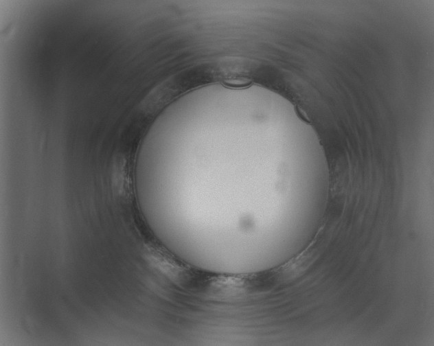 X0000073920140200608251559