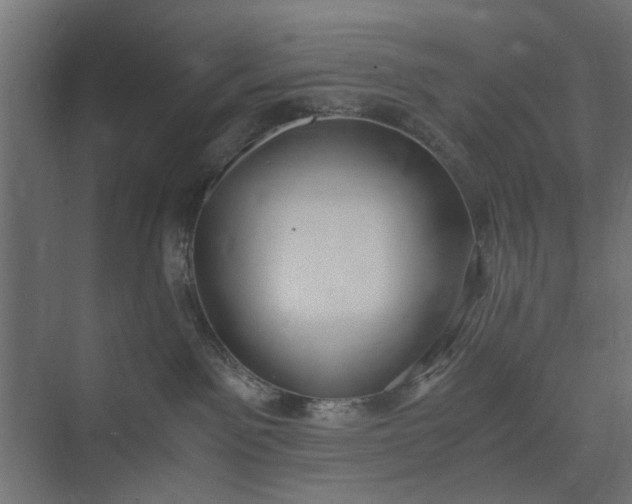 X0000073920141200608251559