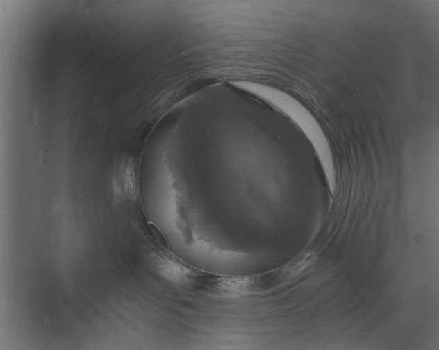 X0000073920143200608251559