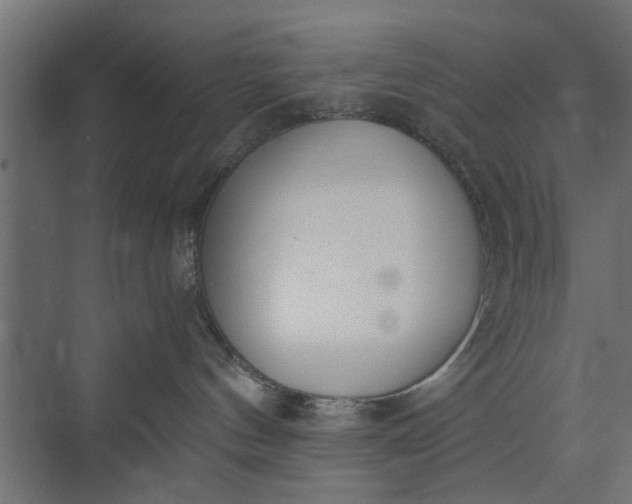 X0000073920144200608251559