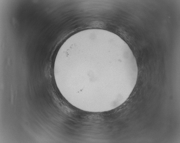 X0000073920146200608251558