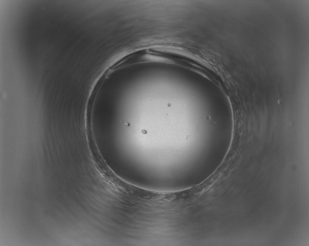 X0000073920148200608251558