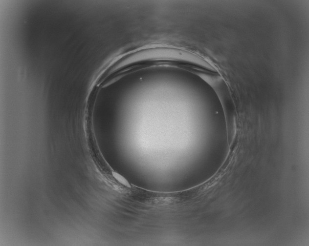 X0000073920152200608251558