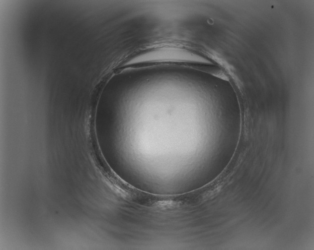 X0000073920153200608251558