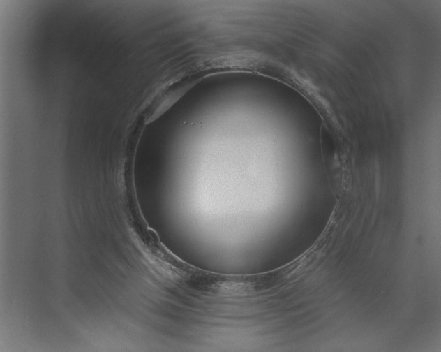 X0000073920154200608251558