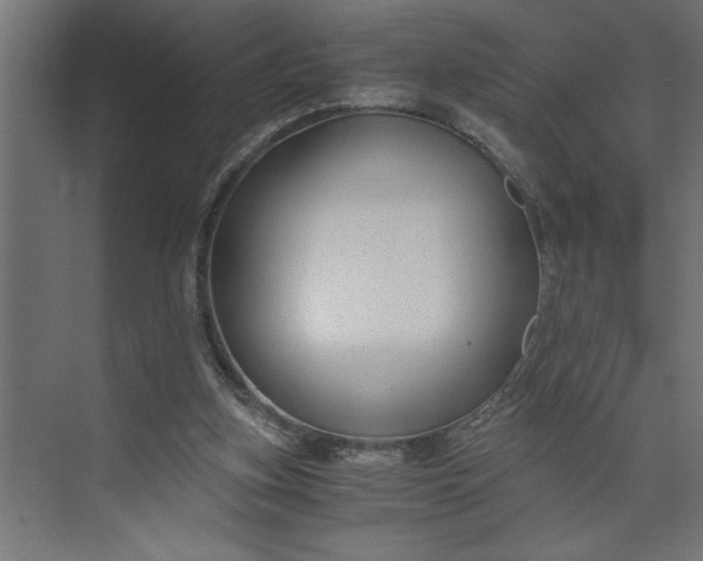 X0000073920155200608251558