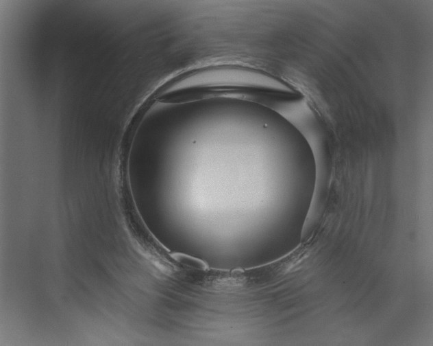 X0000073920156200608251558