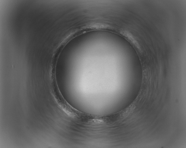 X0000073920159200608251558