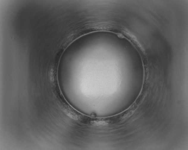 X0000073920161200608251558