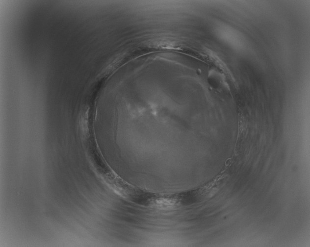 X0000073920163200608251558