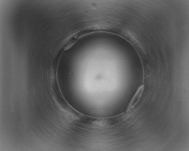 X0000073920164200608251558