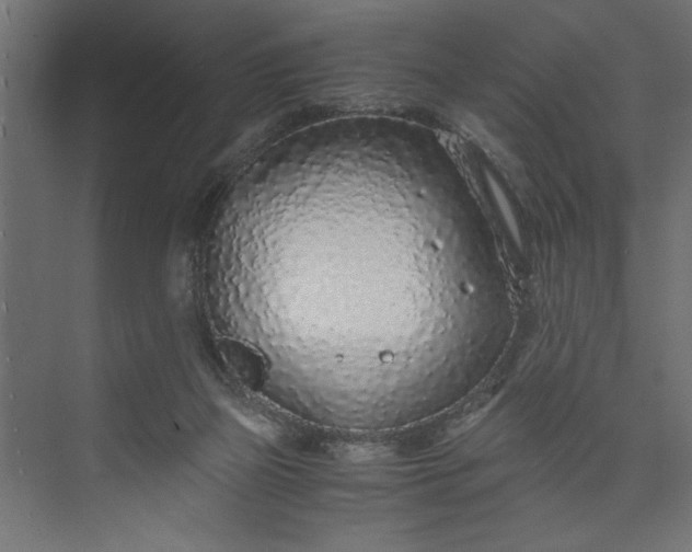 X0000073920165200608251558