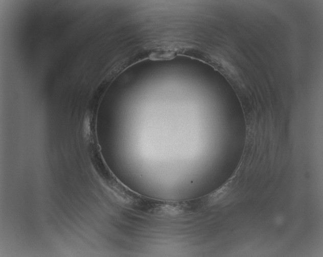 X0000073920166200608251558