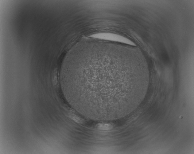 X0000073920169200608251558