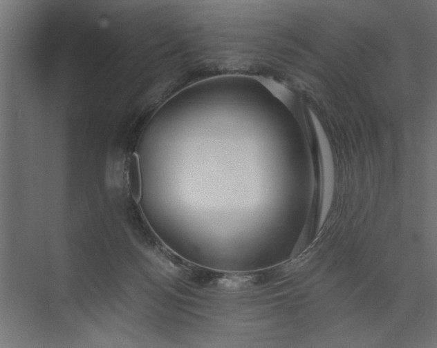 X0000073920172200608251558