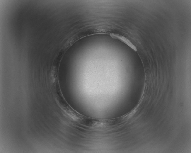 X0000073920174200608251559