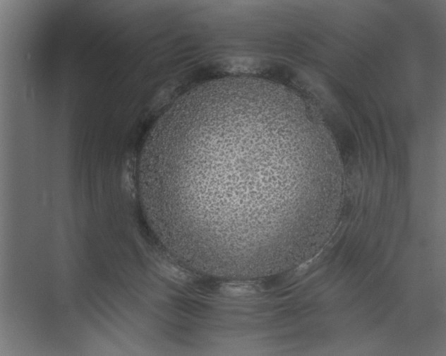 X0000073920175200608251559