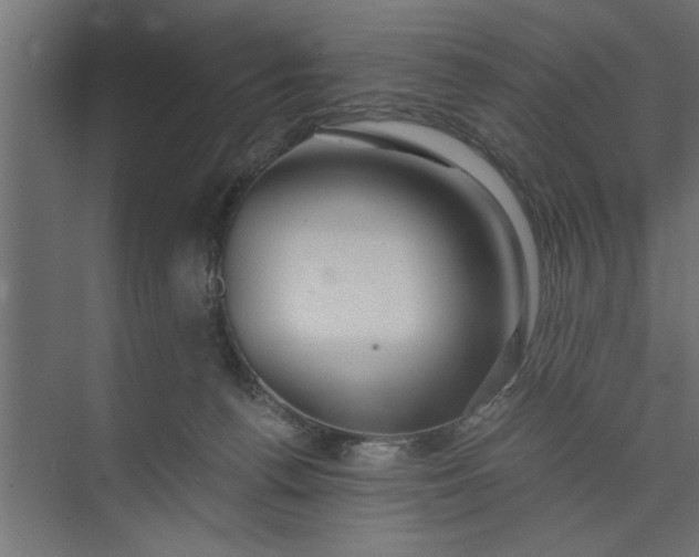 X0000073920176200608251559