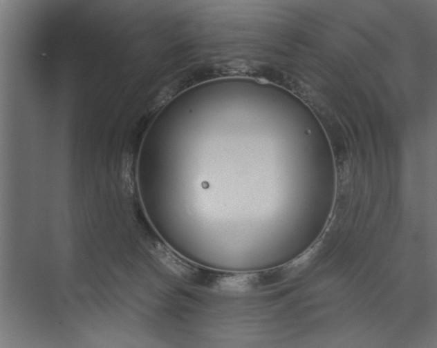 X0000073920178200608251559