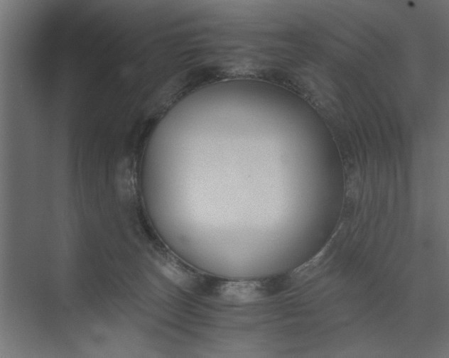 X0000073920179200608251559