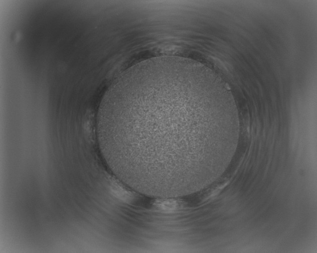 X0000073920181200608251559