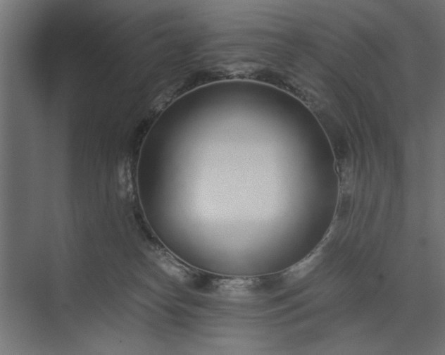 X0000073920182200608251559