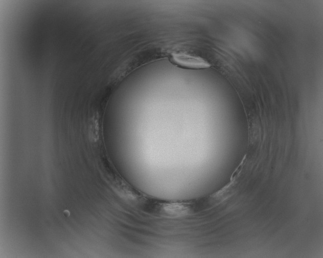 X0000073920183200608251559