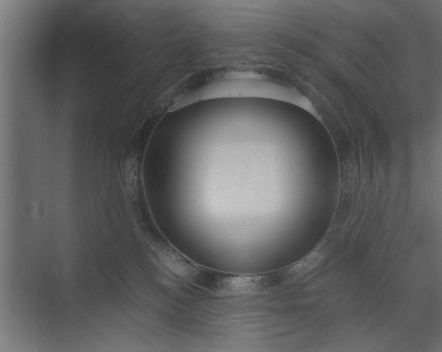 X0000073920184200608251559