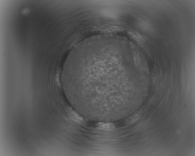 X0000073920185200608251559