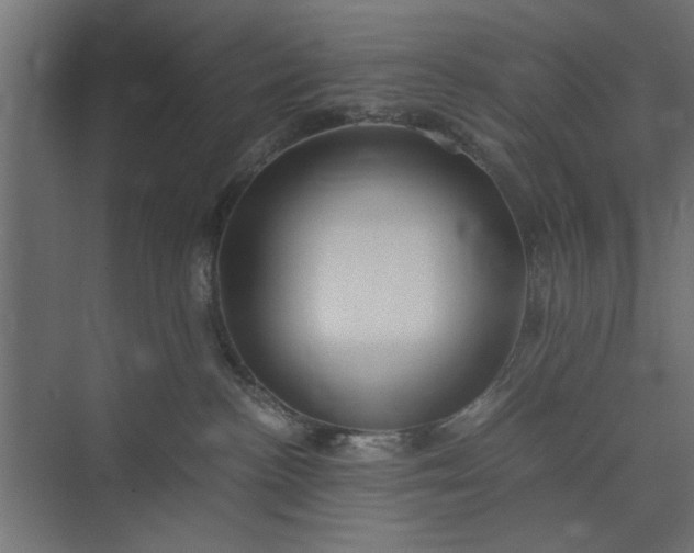 X0000073920188200608251559